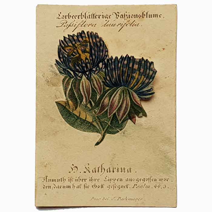 H. Katharina, Passionsblume, aufklappbar, Heiligenbild