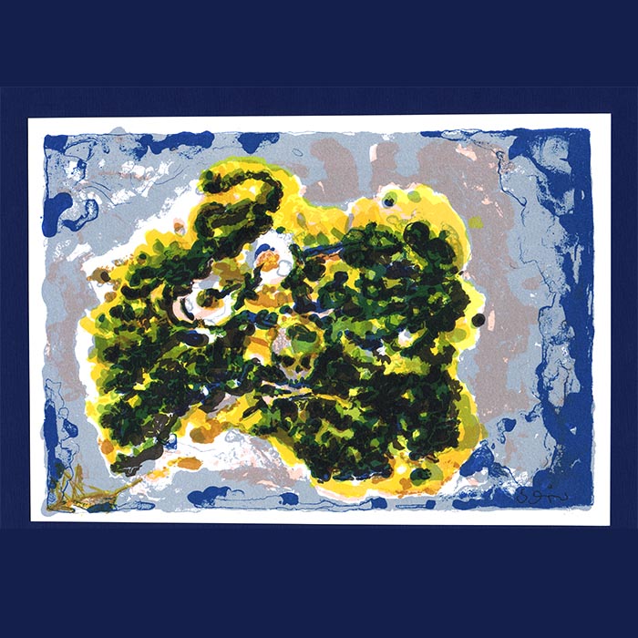 Andreas Schön, Lithographie, treasur island, 2005
