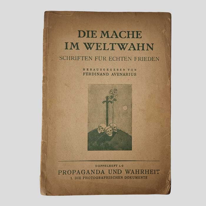 Die Mache im Weltwahn, Propaganda, 1919