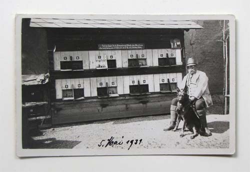 Foto