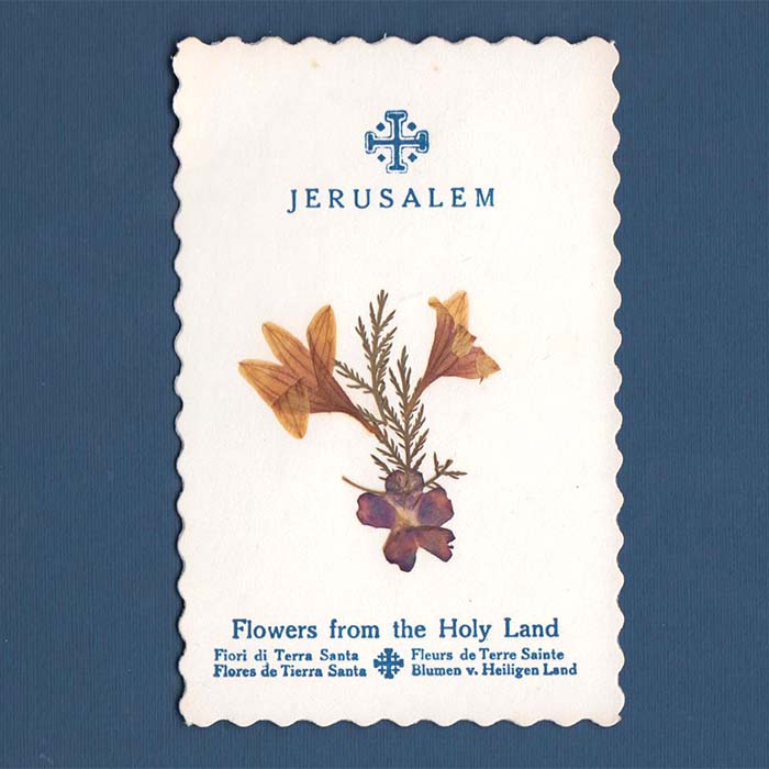 Blumen aus dem Heiligen Land - Jérusalem