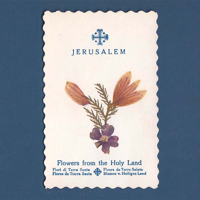 Blumen aus dem Heiligen Land - Jérusalem